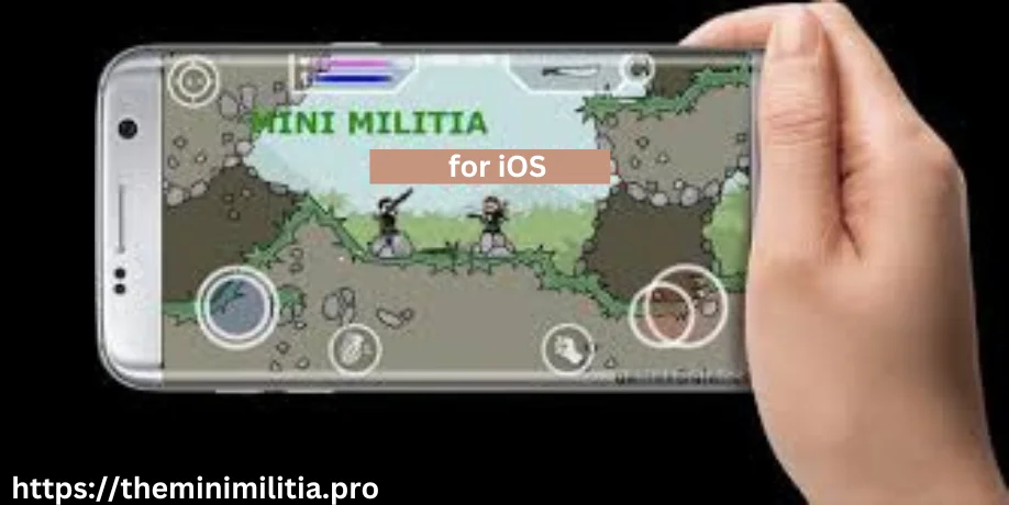 httpstheminimilitia.pro 1 1